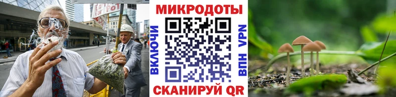 Купить закладки  Котельниково  Псилоцибиновые грибы Magic Shrooms 